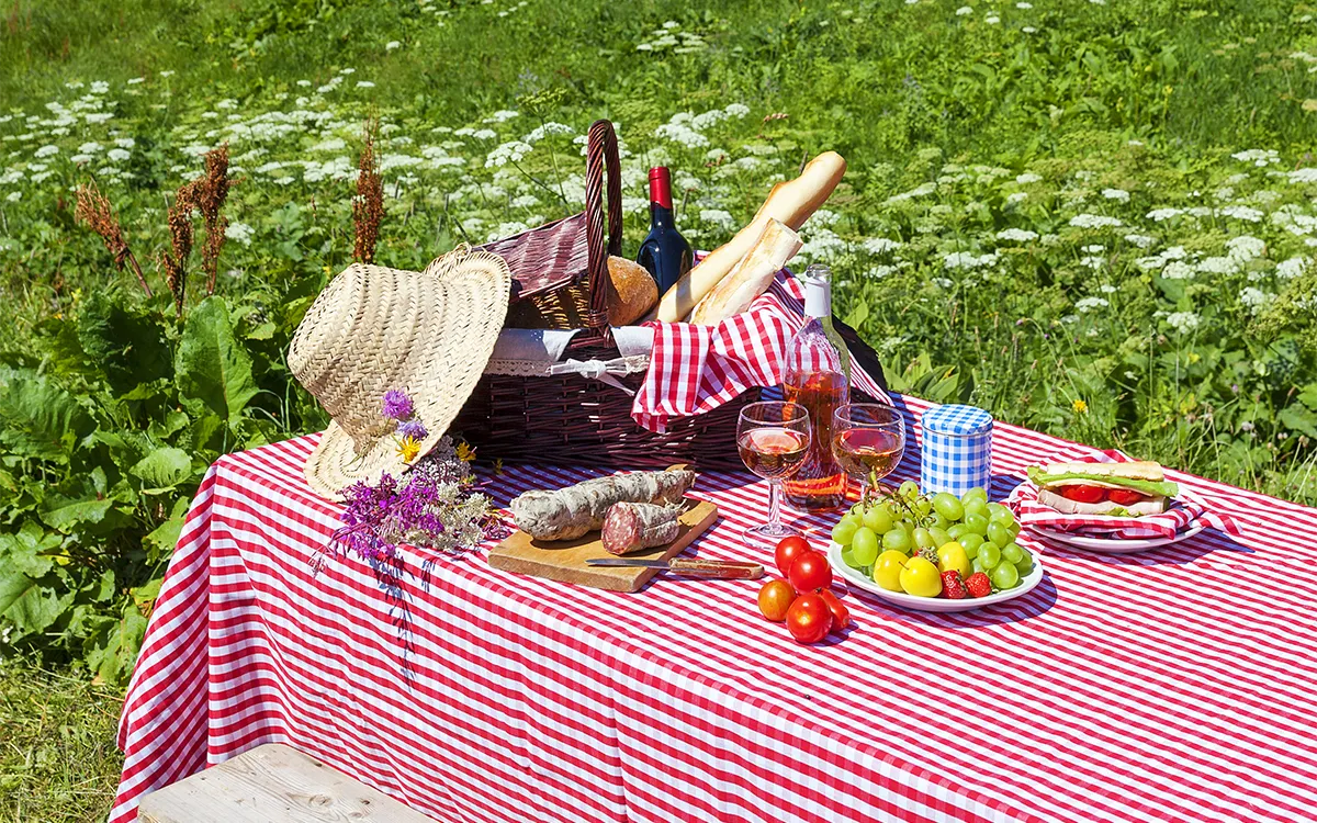 4Picnic-photo-Freepic.webp