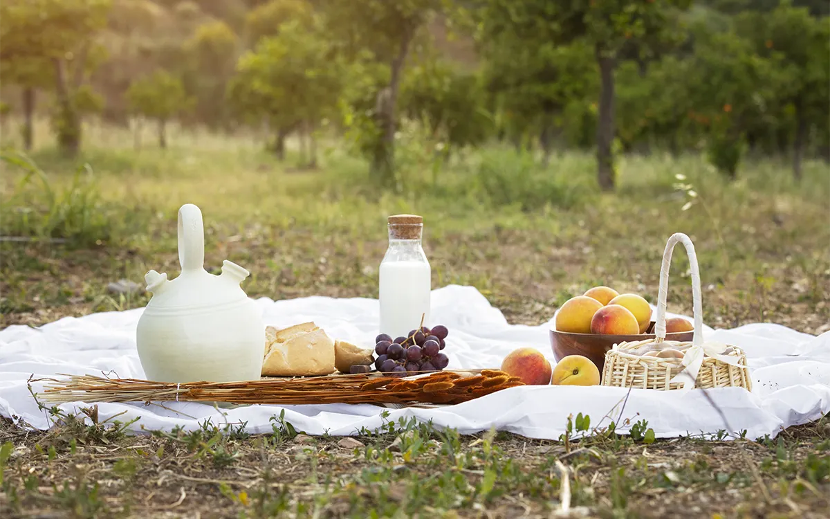 5Picnic-photo-Freepic.webp