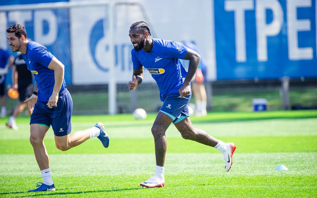 Gerson-Zenit.webp