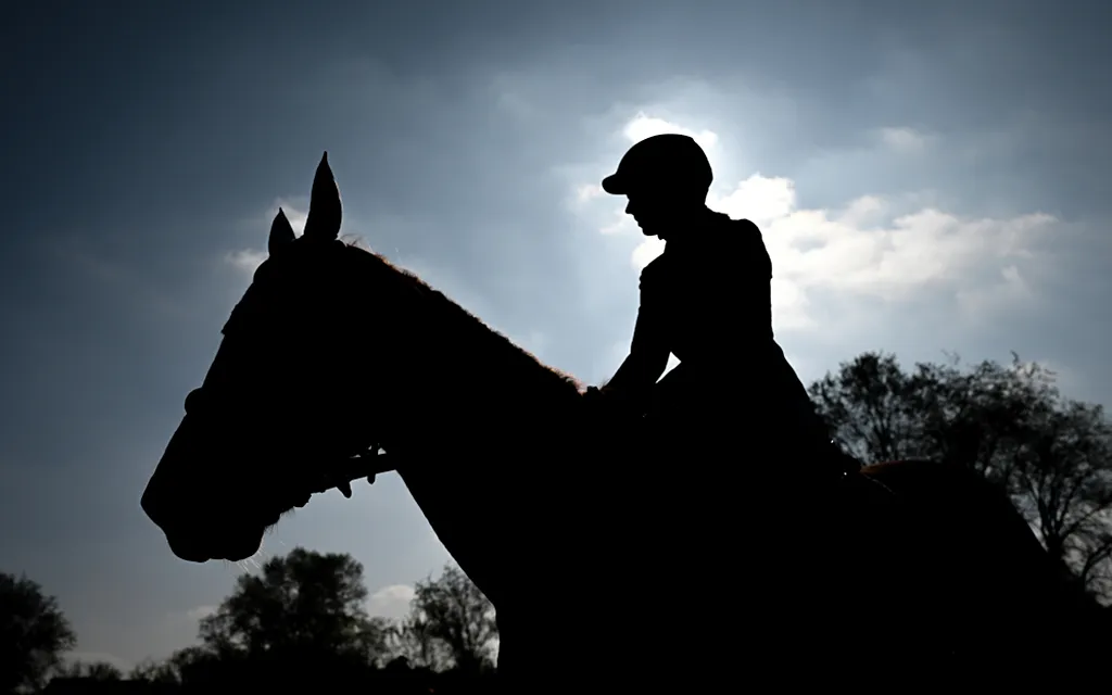 Конный спорт, РИА2.webp