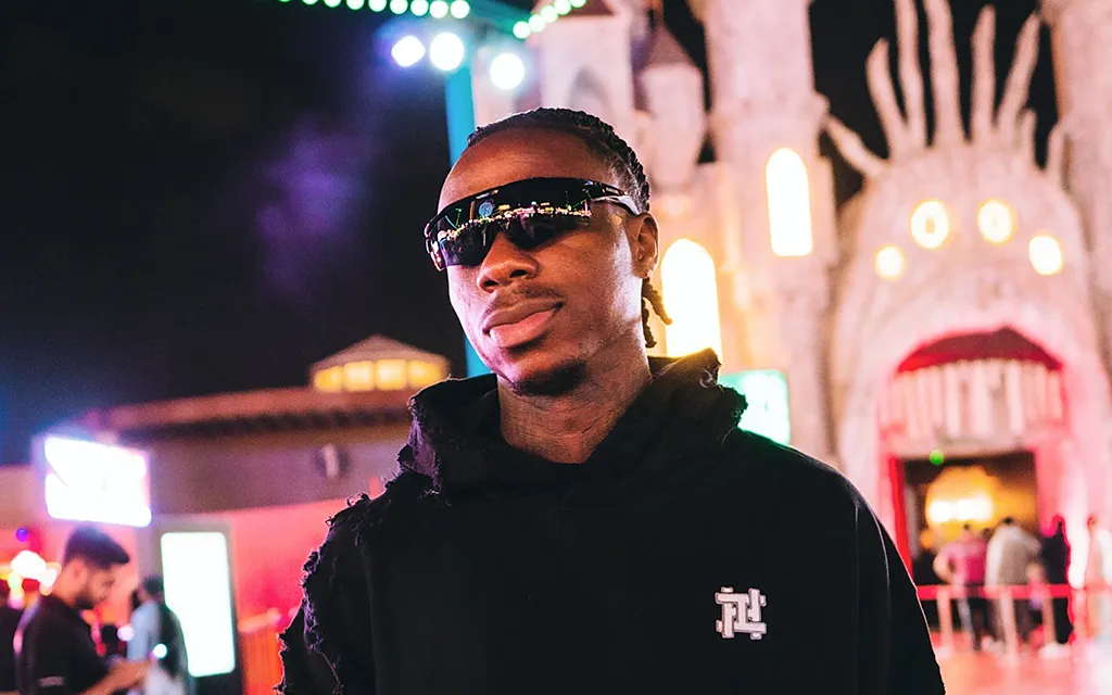 Квинси Промес, Сеть Промеса.webp