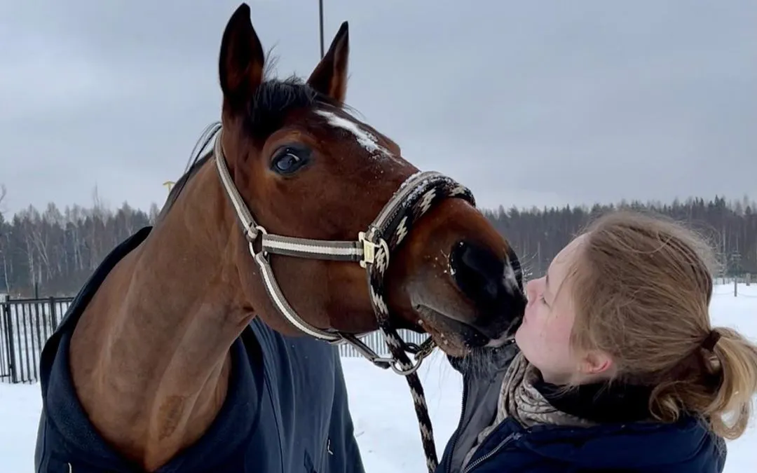 My_favorite_horse_despite_everything_#RusskayaZvezda_14_11zon.webp