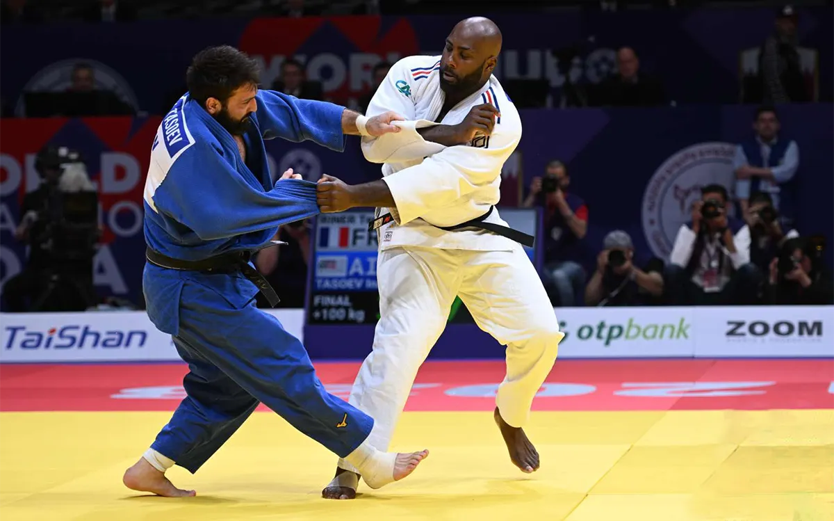 RINER-TASOEV-IJF2.webp