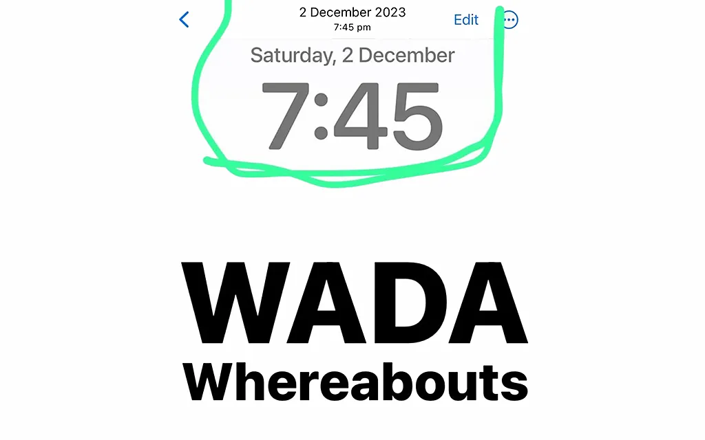 Сеть Пёрселла .webp