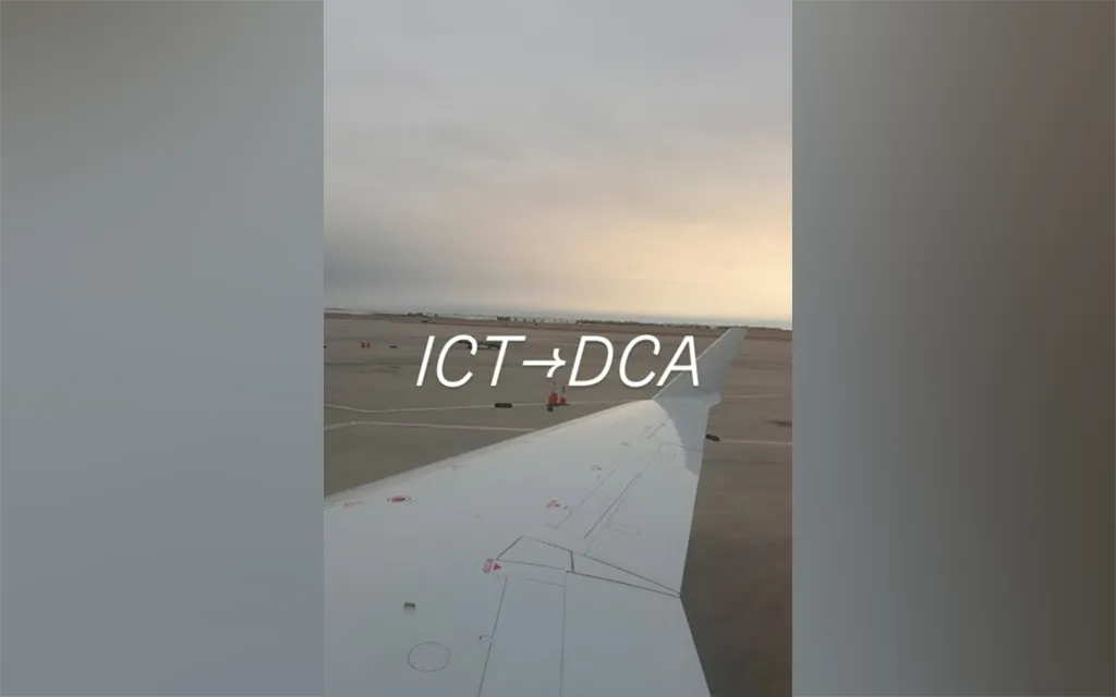 Сеть Спенсера Лейна.webp