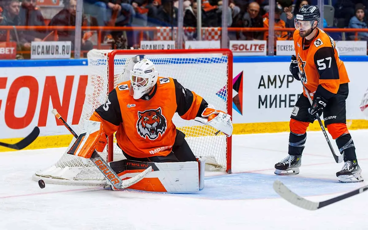 hc-Amur2.webp