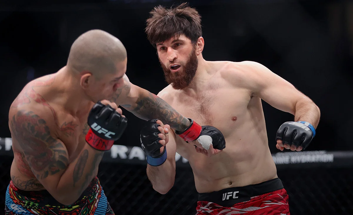 Анкалаев остаётся непобеждённым последние 7 лет. Прервёт ли Перейра его серию?