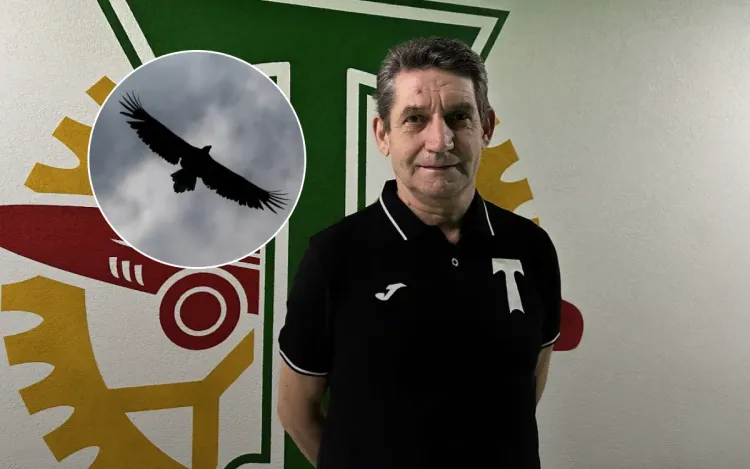 Орёл поднял юного футболиста и понёс в ущелье. Спасли Сергея от трагедии односельчане