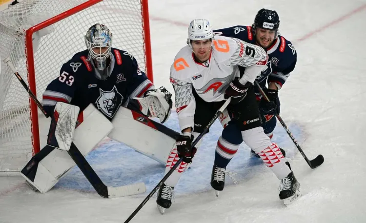 Прогноз на матч «Нефтехимик» – «Авангард». «Ястребы» едут в Нижнекамск с мыслью о реванше