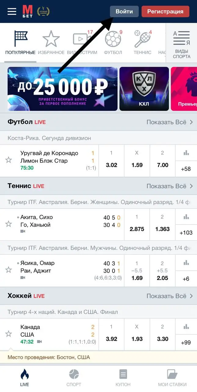 «Интерфейс входа в мобильном приложении «Марафон»