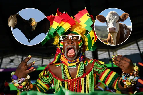 Принесли в жертву корову и убили летучую мышь. На что идут футболисты ради победы