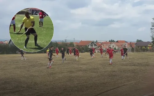 Футбольного судью на поле дважды укусила змея. Спасался арбитр своими силами