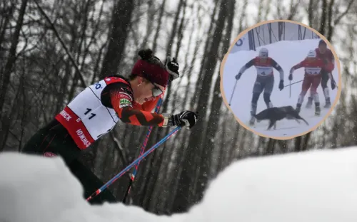 Собачья работа! Безумие в женском марафоне — сигнал, что лыжники под угрозой