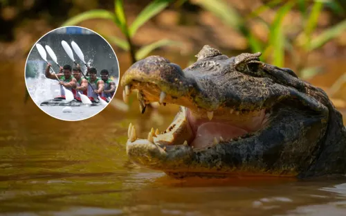 С крокодилами до финиша. На ОИ-2032 гребцов ждëт река, которая кишит зубастыми рептилиями