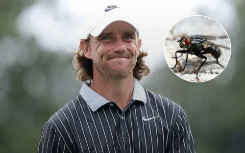 Муха на миллион долларов. Фантастическая победа британского гольфиста